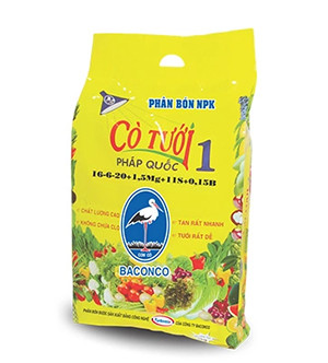 CO TUOI 1 1KG