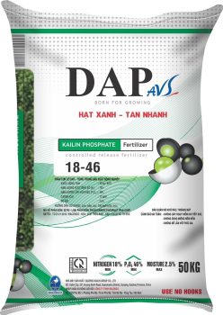 z5181421724680_cb162664236c0043daae9786fd959897